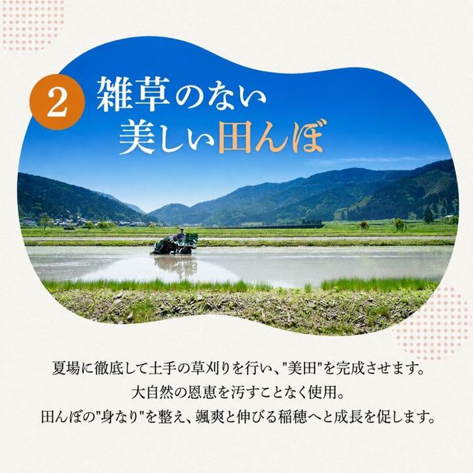 米 令和8年産 コシヒカリ 5kg 白米 精米 単一原料米 一等米 ブランド米 5キロ