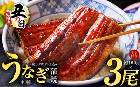 kgp0066-1d 【土用の丑の日までにお届け】うなぎ蒲焼 合計480g【約160g×3尾 特製タレ付 鰻 ウナギ 中国産 レンジ 温めるだけ 簡単調理 ふわふわ 炭火焼き 備長炭 手焼き】