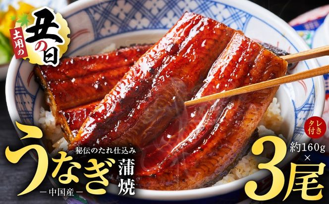 kgp0066-1d 【土用の丑の日までにお届け】うなぎ蒲焼 合計480g【約160g×3尾 特製タレ付 鰻 ウナギ 中国産 レンジ 温めるだけ 簡単調理 ふわふわ 炭火焼き 備長炭 手焼き】