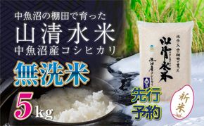 【令和8年産 先行予約】新潟県魚沼産コシヒカリ「山清水米」無洗米5kg