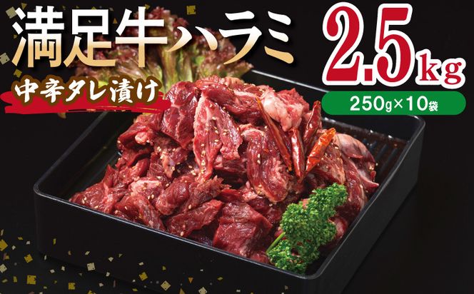 y{򍲖szG3410 yn~zh^Ђ v2.5kg yt n~  Ă ȒP BBQ  250g×10Pz