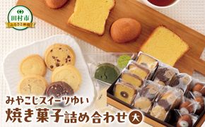 焼き菓子 詰め合わせセット（大） クッキー 洋菓子 スイーツ お菓子 贈答用 プレゼント ギフト 箱入り ご褒美 母の日 父の日 お祝い お返し お土産 手土産 田村市 福島県 みやこじスイーツゆい