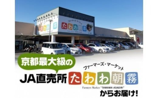 【1月発送】【定期便】令和7年産 新米 5kg 3ヶ月 京都丹波産 コシヒカリ 白米＜JA京都 たわわ朝霧＞ 3回定期便 5kg×3回 計15kg 毎月発送に合わせて精米