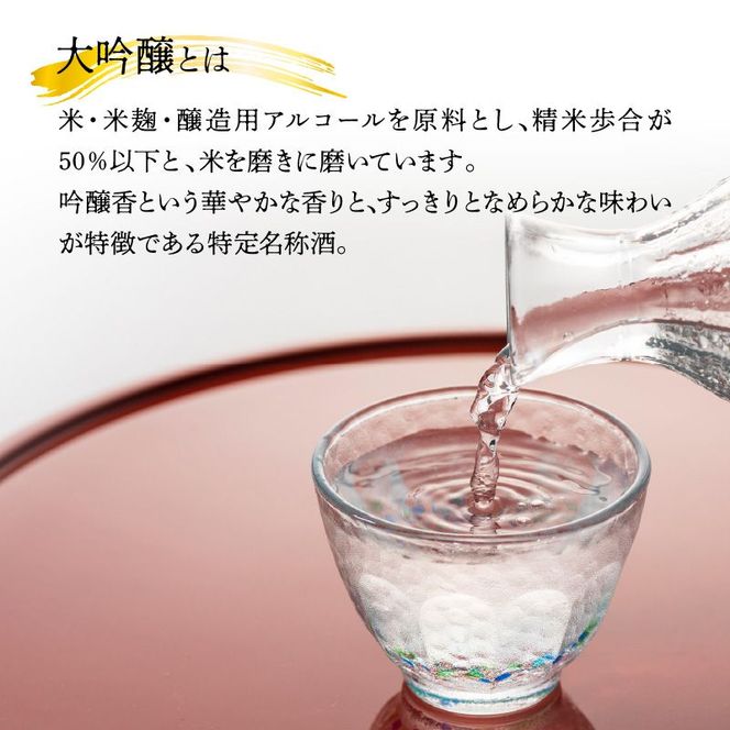 大吟醸向洋1800ml N041-YC128