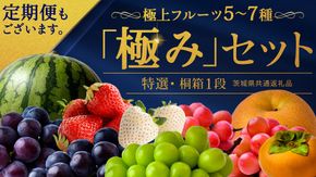 ＼お届け回数が選べる／ 【特選・桐箱1段】極上フルーツ5～7種「極み」セット 単品・定期便（茨城県共通返礼品） 田舎の頑固おやじが厳選！ 人気 厳選 果物 くだもの 旬 旬の果物 旬のフルーツ 上級品 極上 贅沢 極み フルーツ フルーツセット ギフト プレゼント 贈り物 冷蔵