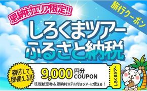 【恩納村】しろくまツアーで利用可能なWEB旅行クーポン（9,000円分）