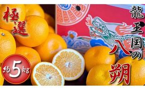 【2026年3月中旬より順次発送】【極選】龍王国の八朔 約5kg  はっさく ハッサク 柑橘 果物 フルーツ 果実 みかん ふるさと納税みかん 美味しい 人気 旬のフルーツ 旬の果物 フルーツギフト 果物ギフト お取り寄せ 香川県 丸亀市