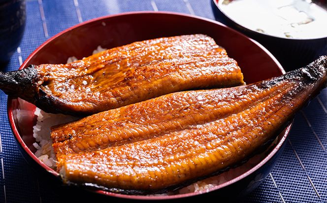 高知県産養殖うなぎ蒲焼 100～120g 3尾セット ss-0025