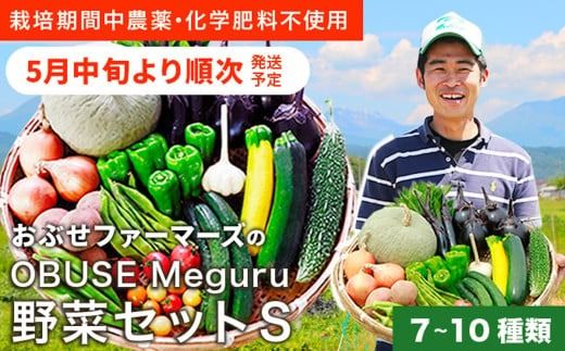 ［栽培期間中農薬・化学肥料不使用 ］OBUSE Meguru 野菜セット S 7～10種類 ［おぶせファーマーズ］野菜 詰め合わせ おまかせ やさい 詰合せ お楽しみ 長野県産 信州 令和7年産 【2025年5月中旬より順次発送】 [FY-1]