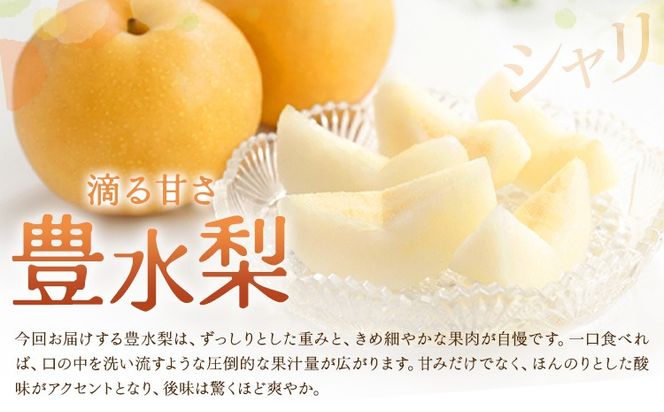 先行予約 旬 梨 フルーツ 豊水梨 約2kg 豊水 株式会社エフビーネット《8月中旬-9月上旬頃出荷》熊本県 氷川町 熊本県 氷川町産 なし ナシ 旬の梨 果物 くだもの スイーツ---hkw_efn_4_2kg---