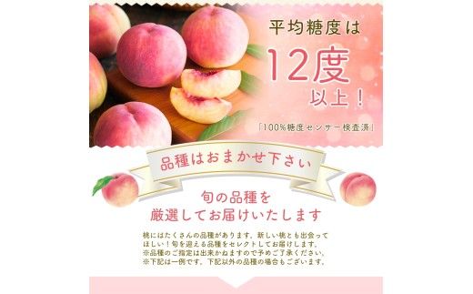 【2027年出荷分 先行予約】朝もぎ直送!『山梨県産　桃』約13～18玉 約5kg規格箱入り 選び抜かれた山梨の桃《もも 先行予約》山梨県産　モモ/ フルーツ 果物 くだもの 人気 産地直送/厳選  贈答 贈り物【tab0221-05】
