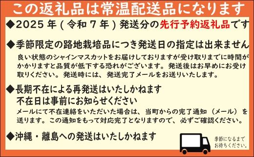 【2025年発送分 先行予約】 山梨おいしい果物園のシャインマスカット 1.8kg-2.0kg (2~4房)　産地直送 フルーツ シャイン マスカット ブドウ ぶどう 山梨 やまなし 富士川町