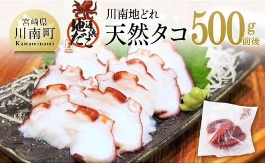 漁協直送!天然タコ(湯がき済)小分けで500g前後 [ たこ 蛸 海産物 日向灘 地どれ ] [C01708]