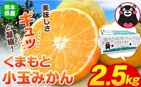 訳あり みかん 小玉みかん くまもと小玉みかん 2.5kg (2.5kg×1箱) 秋 旬 不揃い 傷 ご家庭用 SDGs 小玉 たっぷり 熊本県 産 S-3Sサイズ フルーツ 旬 柑橘 長洲町 温州みかん《2025年10月中旬-12月末頃出荷》---fn_nkomikan_bc1012_r7_4000_2500g---