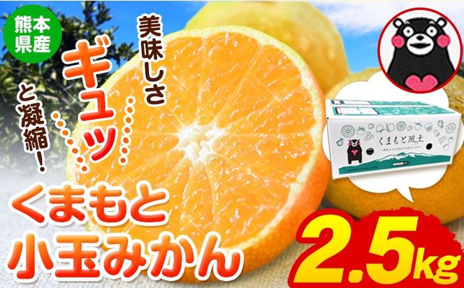 訳あり みかん 小玉みかん くまもと小玉みかん 2.5kg (2.5kg×1箱) 秋 旬 不揃い 傷 ご家庭用 SDGs 小玉 たっぷり 熊本県 産 S-3Sサイズ フルーツ 旬 柑橘 長洲町 温州みかん《11月中旬-12月上旬頃出荷》---fn_nkomikan_g11_24_6000_2500g---