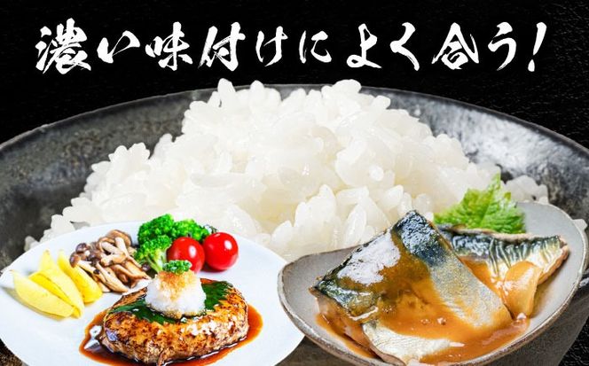 【12回定期便】コシヒカリ 白米 10kg×12か月 / 脇野コンバイン[AECP029]