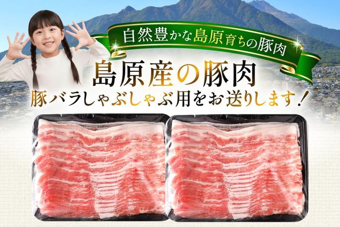 AK034 豚バラ しゃぶしゃぶ用 500g 2パック 計1kg [ 豚肉 小分け バラ肉 ぶた しゃぶしゃぶ 薄切り スライス BBQ バーベキュー 焼肉 アウトドア 1キロ スターゼン 長崎県 島原市 ]