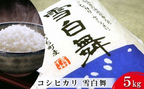 【令和7年産】志賀高原の麓で育った 山ノ内町産コシヒカリ『雪白舞』5kg 米 お米 コシヒカリ こしひかり 5kg 5キロ 白米 精米 希少 ブランド米 産地直送 長野 長野県 山ノ内 長野県山ノ内町 