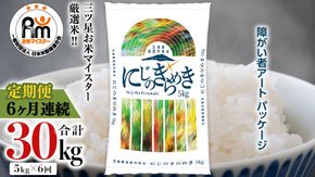 【 定期便 6ヶ月 】 茨城県 筑西市産 にじのきらめき 5kg ( 障がい者アート パッケージ ) ( 5kg × 1袋 ) 令和7年産 精米 米 お米 コメ 白米 茨城県 筑西市 三ツ星 マイスター [CH028ci]