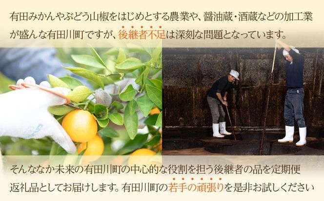 有田川町後継者応援定期便 1月発送 ちょっと傷あり 八朔（4～6玉） と 2月発送 天然醸造醤油＆特製だしぽん酢 【南泰園・カネイワ醤油】 	ARD08