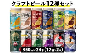 3501.御殿場クラフトビール12種セット 24本入り（各2本） ◇