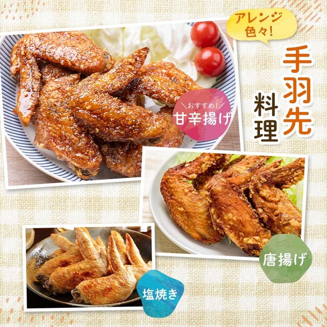 恵那とり手羽先 計2kg おつまみ とり肉 鶏 手羽 鶏肉 チキン 肉 食品 F4N-2406