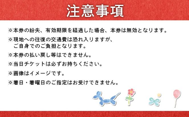 世界チャンピオンから教わるバルーンアート体験チケット(１組分)【32026】