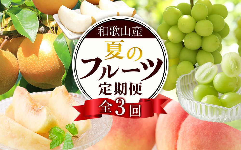 定期便全3回 [7月・8月・9月発送] 和歌山の夏のフルーツをお届け(桃・梨・シャインマスカット) [TM224] 303446_XH92275