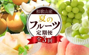 定期便全3回 【7月・8月・9月発送】 和歌山の夏のフルーツをお届け（桃・梨・シャインマスカット） ［TM224］ 303446_XH92275