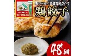 鶏の本場の老舗鶏屋が作る味鶏の餃子セット (計48個・1Pあたり12個入・柚子胡椒30g付き！) 鶏餃子 餃子 鶏肉 ぎょうざ おかず お惣菜 おつまみ 冷凍【V-70】【味鶏フーズ】