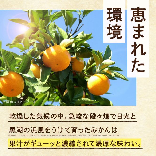 《2026年9月下旬～11月中旬頃に順次発送》【2026年先行予約】厳選 極早生有田みかん約5kg+250g（傷み補償分）ゆら早生みかん【YN26・ゆら早生】【光センサー選果】_ZH7040