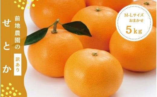 前地農園のせとか M-2Lサイズおまかせ ご家庭用5kg[2026年3月初旬から3月中旬までに順次発送] / 家庭用 ご家庭用 せとか みかん 蜜柑 サイズ不揃い[mmd003B]