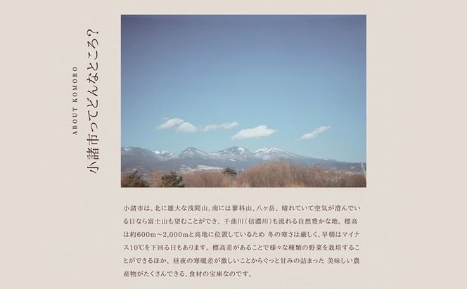 野菜の定期便 てのひら小諸 12～15種類 3ヶ月連続お届け 