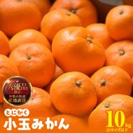 みかん とにかく 小玉 箱込 10kg ( 内容量 9.2kg ) 2Sサイズ以下 秀品 優品 混合 有田みかん 和歌山県産 産地直送 【みかんの会】_MK1041