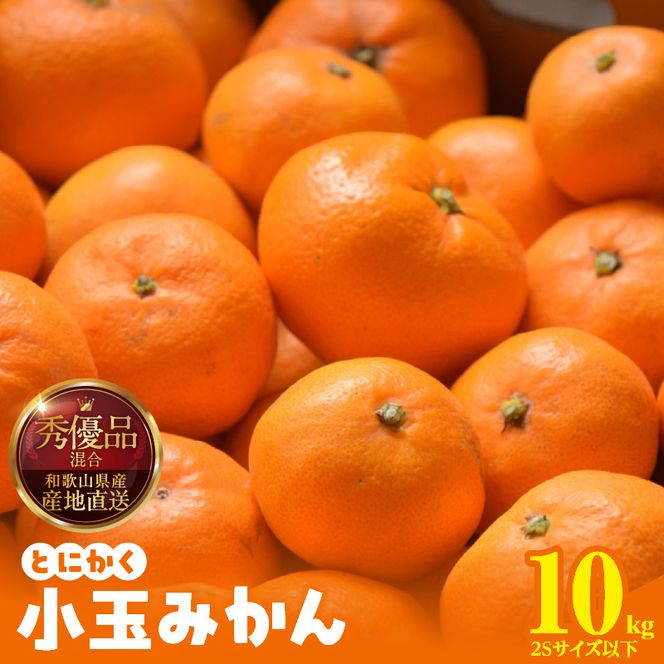 みかん とにかく 小玉 箱込 10kg ( 内容量 9.2kg ) 2Sサイズ以下 秀品 優品 混合 有田みかん 和歌山県産 産地直送 【みかんの会】_MK1041