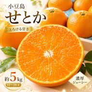 【 小豆島 】小豆島せとか 約5kg 柑橘 果物 せとか フルーツ ジューシー フレッシュ くだもの 国産 香川 香川県 土庄 土庄町
