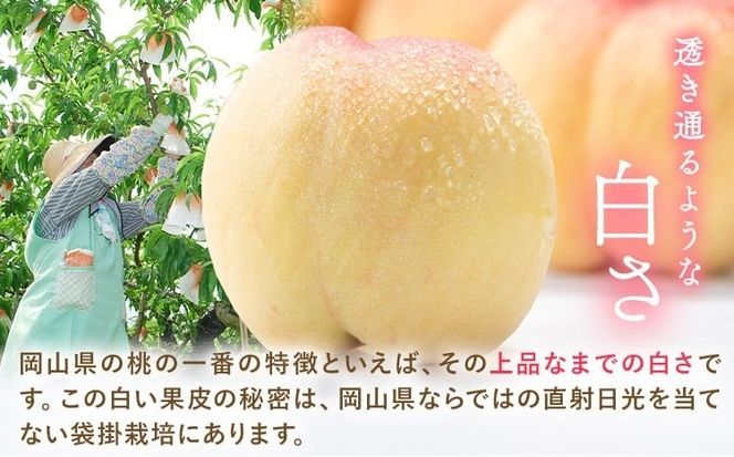 【ふるプレ限定品】 【2027年発送】岡山の桃 約1.1kg （3~5玉) 《2027年6月下旬-8月末発送》---yakage_loc_21_2027_p---