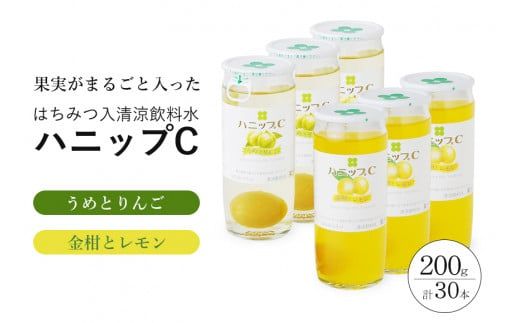 果実入り清涼飲料水 ハニップＣ 2種類セット（30本） / ドリンク 飲料 ジュース 梅 うめ りんご【prm001B】