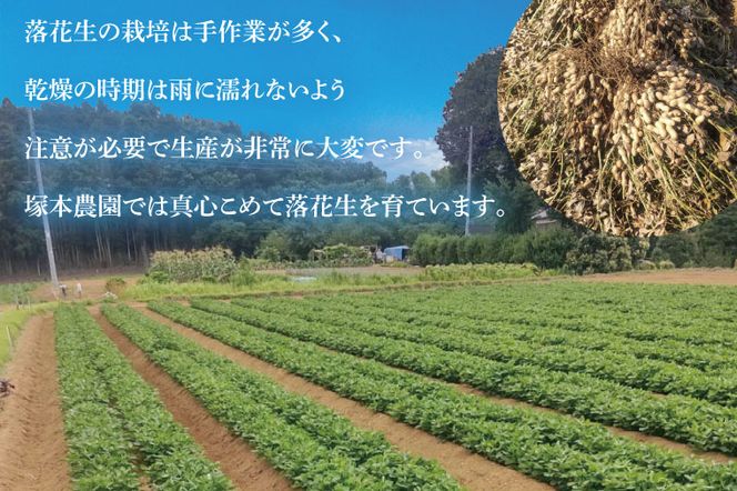 【2026年11月中旬より順次発送】なめがたの煎落花生　190g×4袋入り(CS-2)