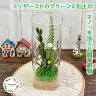 プリザーブドフラワー　トリル　春日部市　シュガーパイン(AJ247)