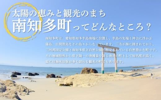 しらす 500g 減塩 冷凍 日間賀島 丸豊 離乳食 魚 さかな ご飯 ごはん 国産 シラス 人気 おすすめ 愛知県 南知多町