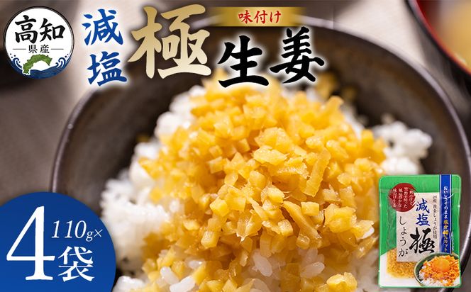 しょうが 減塩 味付け 極しょうが 110g×4袋 計440g 【7日程度で発送】 生姜 ジンジャー ご飯のお供 おかず トッピング アレンジ 料理 手軽 便利 刻み生姜 国産 特産品 しょうが ショウガ 高知県産 坂田信夫商店 高知県 香南市 常温 Xnb-0015