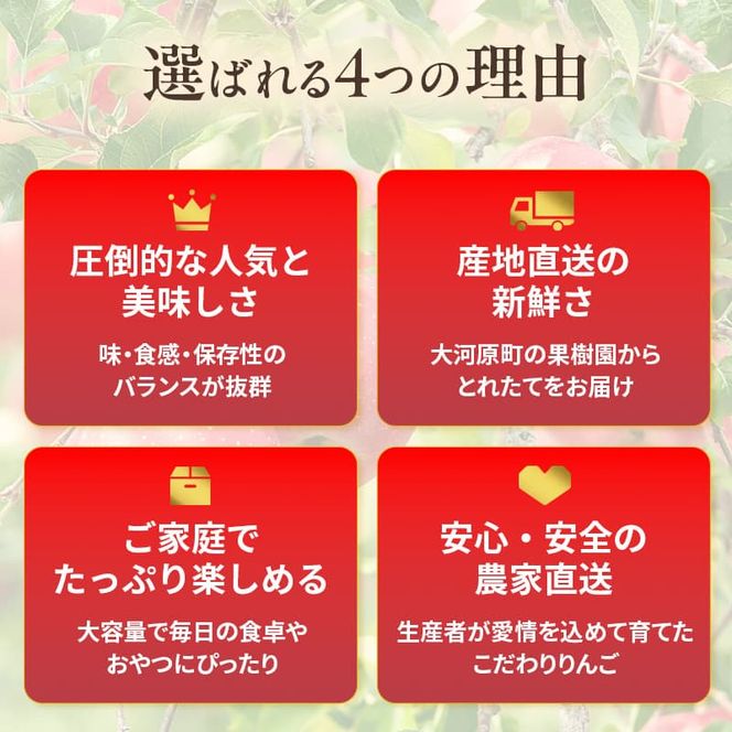 人気No.1 りんご ふじ 5kg 果物 フルーツ 先行予約 単品 定番 宮城県 大河原町 リンゴ 林檎 くだもの 大容量 送料無料