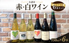信州小諸産 赤・白ワイン おすすめ6本セット　小諸市ワイン 飲み比べ お酒 ミネラル感 果実味 酸 甘い香り 柔らかなタンニン フレッシュ 家飲み 晩酌