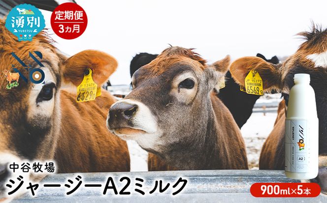 【3カ月定期便】中谷牧場 ジャージー A2ミルク 900ml×5本 ジャージー牛 やさしい 国産 オホーツク北海道 牛乳北海道産 ジャージー牛乳 飲み物 朝食 生乳 牧場のミルク 牧場の牛乳 こども 
