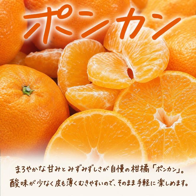 【定期便】【1・2・3月 全3回】紀州和歌山産旬 フルーツ定期便（いちご  約250g×2P 1月、ポンカン 5kg 2月、紀州デコ 約3kg 3月発送）