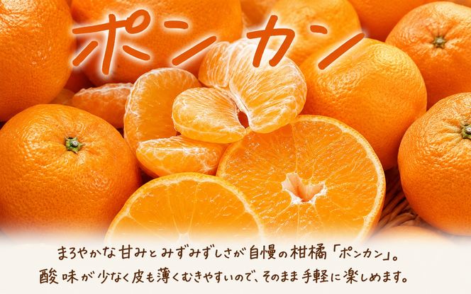 【発送月固定定期便】紀州和歌山産旬のフルーツセット(いちご4P・ポンカン・紀州デコ約5kg)全3回 【tkb450】