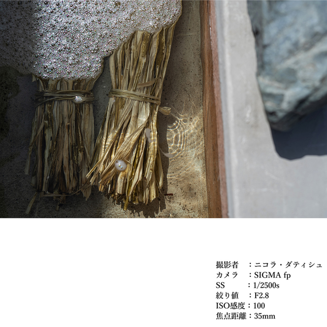 SIGMA 35mm F1.4 DG DN | Art【Lマウント】カメラ　レンズ