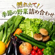 野菜 とれたて 季節の野菜 パック 8品前後 詰め合わせ セット 野菜セット 旬の野菜 旬 野菜詰め合わせ 野菜詰め合わせセット 産地直送 送料無料 たまねぎ にんじん じゃがいも ほうれん草 トマト キャベツ しいたけ 大根 白菜 冷蔵 静岡