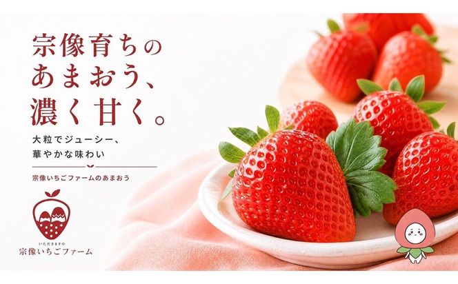 【先行予約】【2027年1月より順次発送】人気のいちご 2品種食べ比べセット【宗像いちごファーム】_HA2067 苺 イチゴ あまおう おいCベリー 福岡県宗像市 宗像市 福岡 宗像